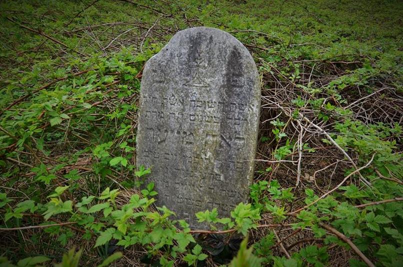 Zator - cmentarz żydowski (21).JPG
