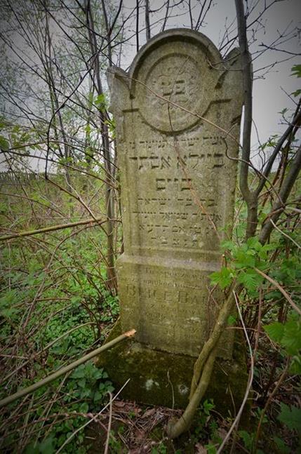 Zator - cmentarz żydowski (23).JPG