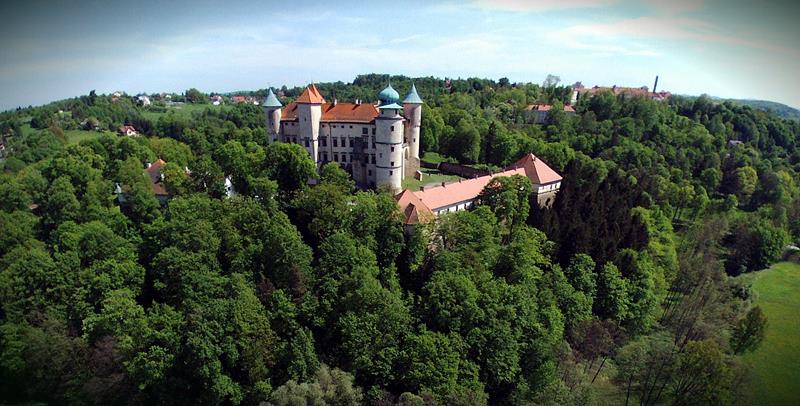 Zamek w Wiśniczu (2).jpg