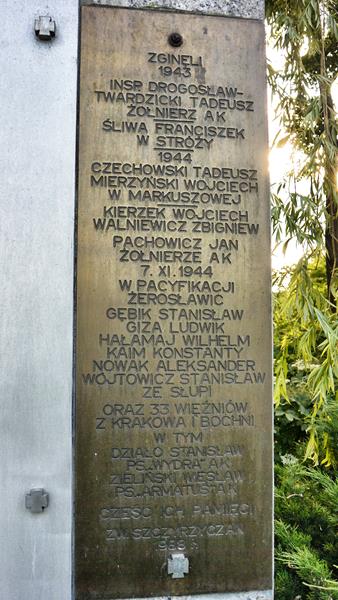 Pomnik w Szczyrzycu (12).jpg