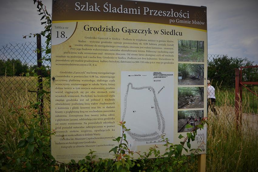 Piknik archeologiczny (2).JPG