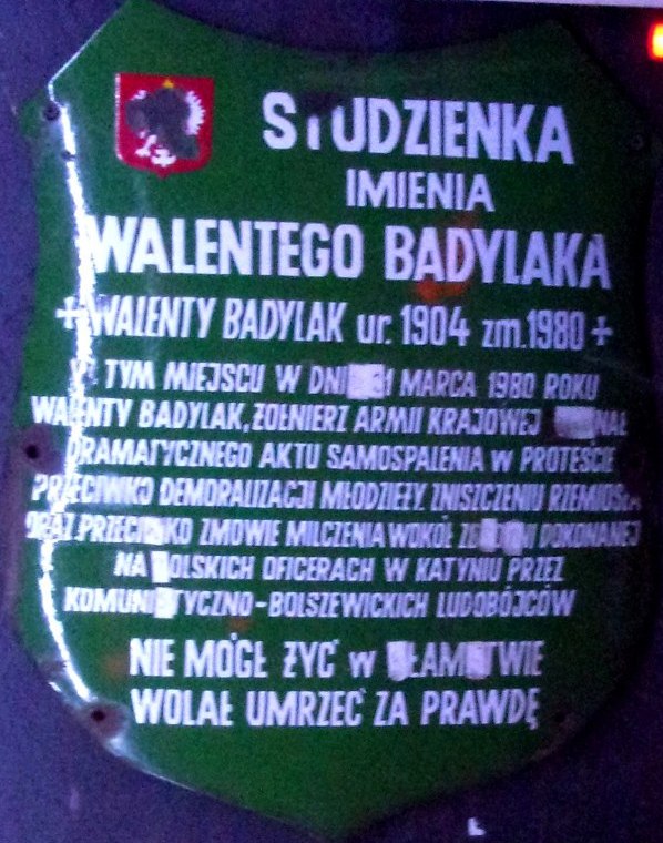 Pierwsza tabliczka ze Studzienki Badylaka - fot. 1.JPG