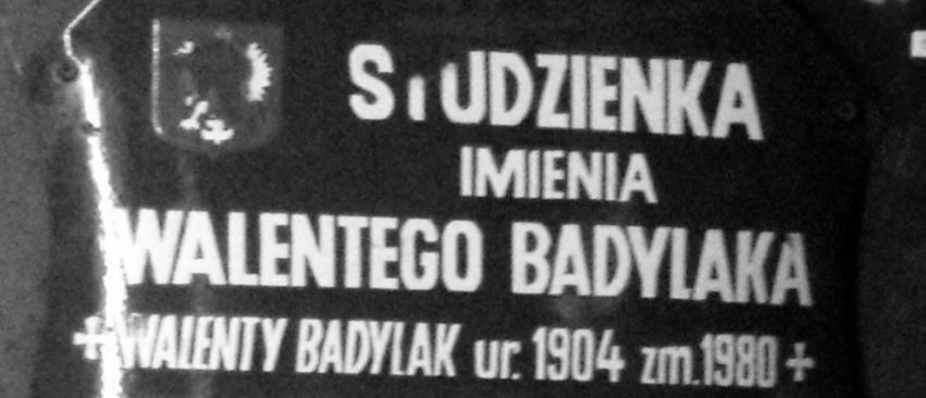 Pierwsza tabliczka ze Studzienki Badylaka - fot. 2.JPG