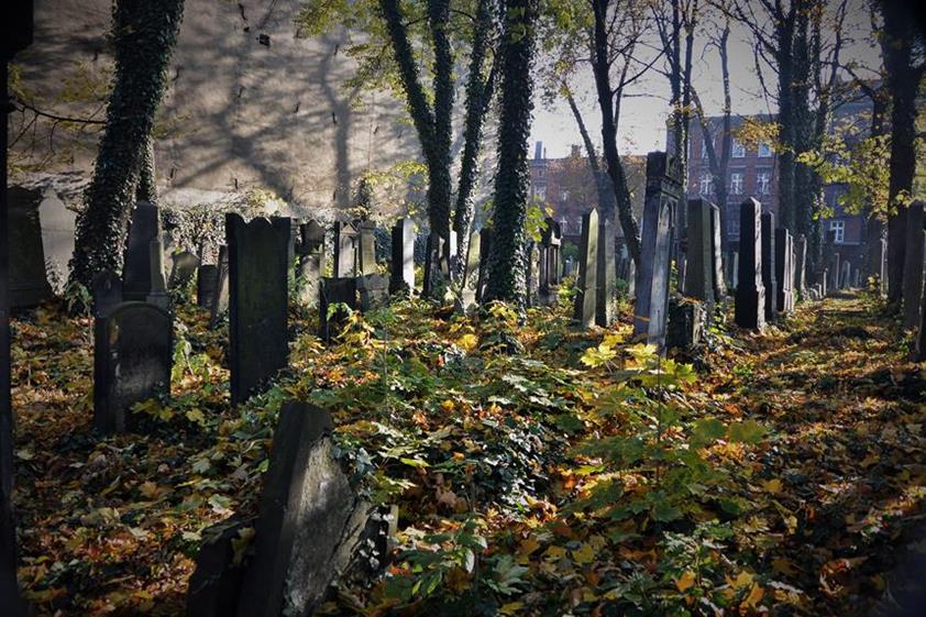 Cmentarz żydowski w Bytomiu (9).JPG