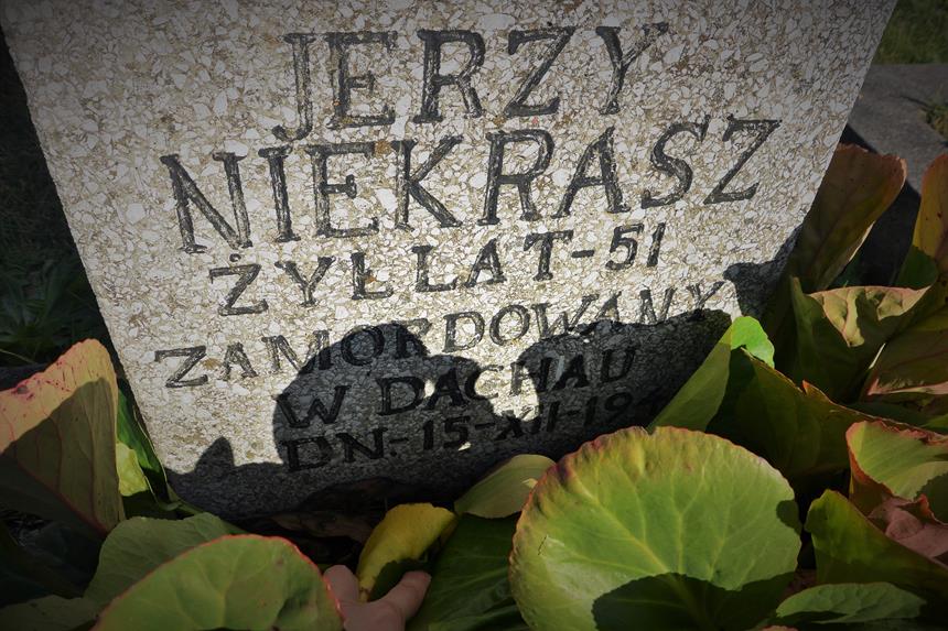 Jerzy Niekrasz, zamordowany w Dachau (3).JPG