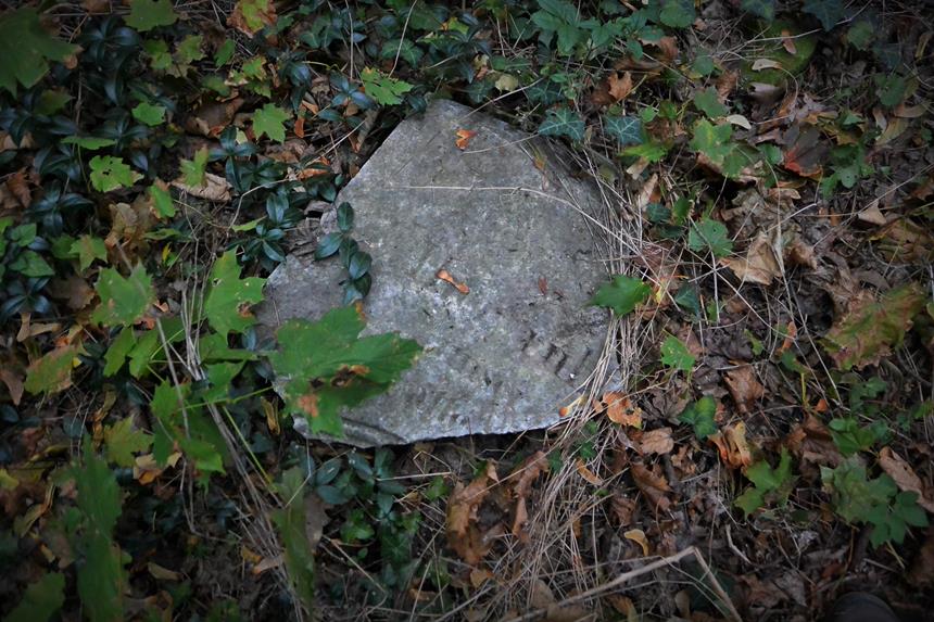 Nysa - cmentarz żydowski (10).JPG