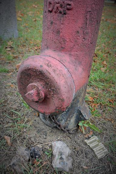 Trzeci hydrant (5).JPG