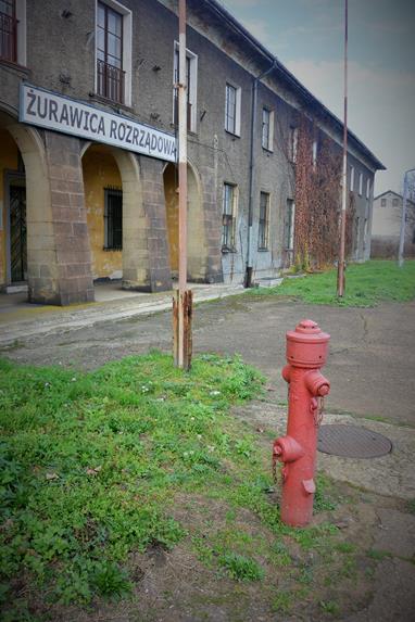 Drugi hydrant z Żurawicy (2).JPG