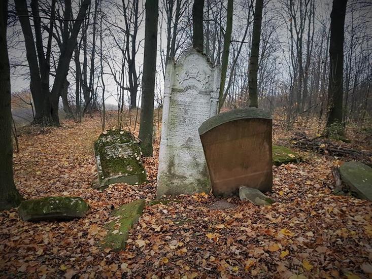 Cmentarz żydowski (1).jpg