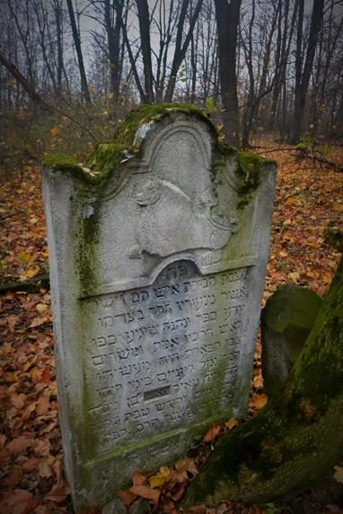 Cmentarz żydowski (10).JPG
