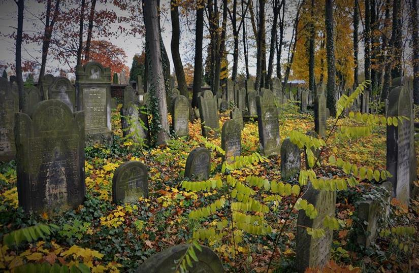 Cmentarz żydowski w Zawierciu (1).JPG