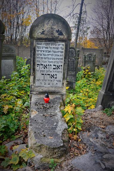 Cmentarz żydowski w Zawierciu (8).JPG