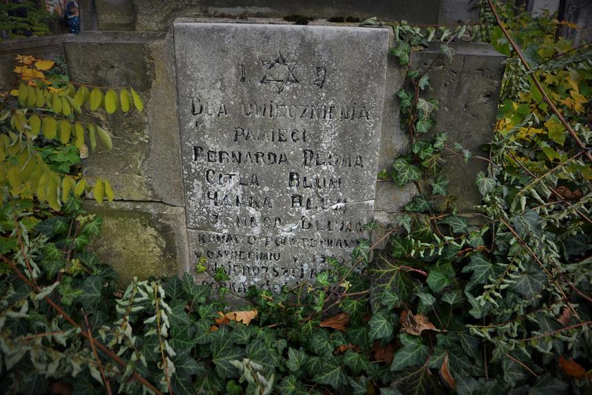 Cmentarz żydowski w Zawierciu (9).JPG