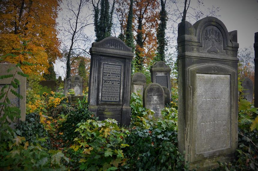 Cmentarz żydowski w Zawierciu (10).JPG