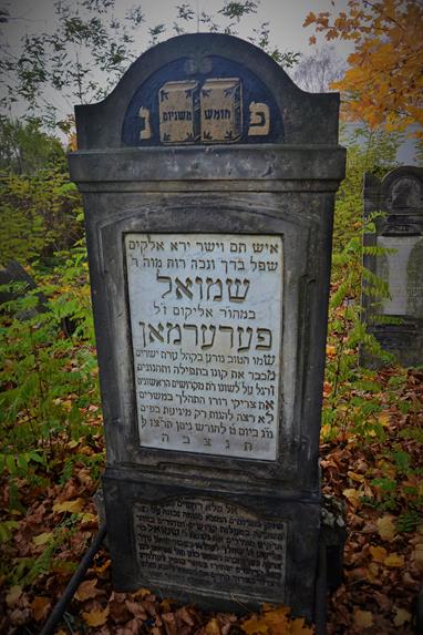 Cmentarz żydowski w Zawierciu (13).JPG