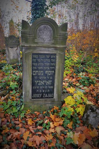 Cmentarz żydowski w Zawierciu (20).JPG