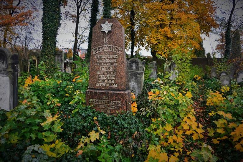 Cmentarz żydowski w Zawierciu (25).JPG