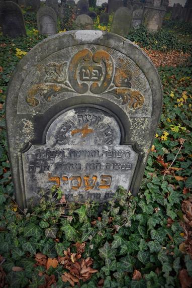 Cmentarz żydowski w Zawierciu (28).JPG