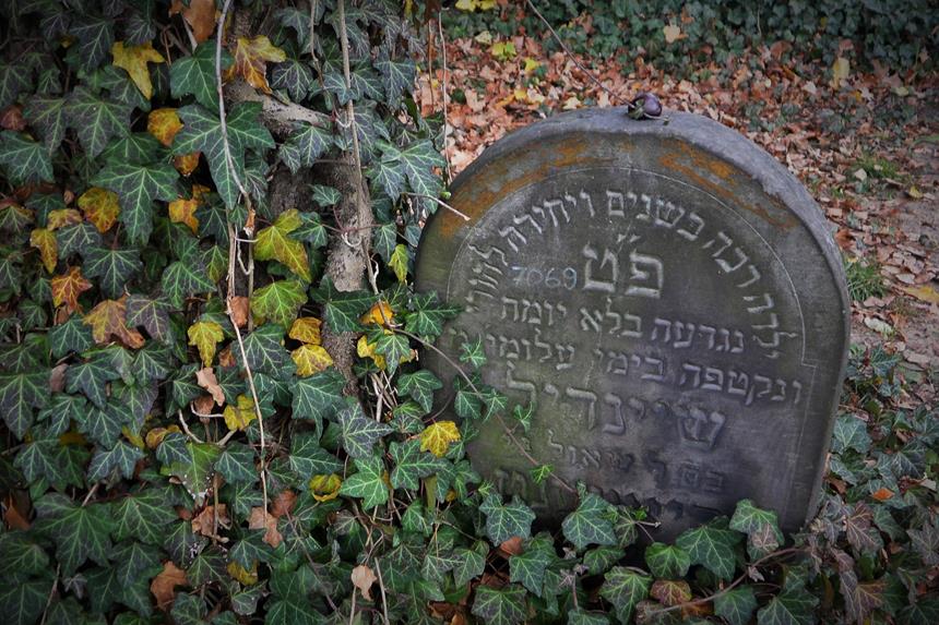 Cmentarz żydowski w Zawierciu (30).JPG