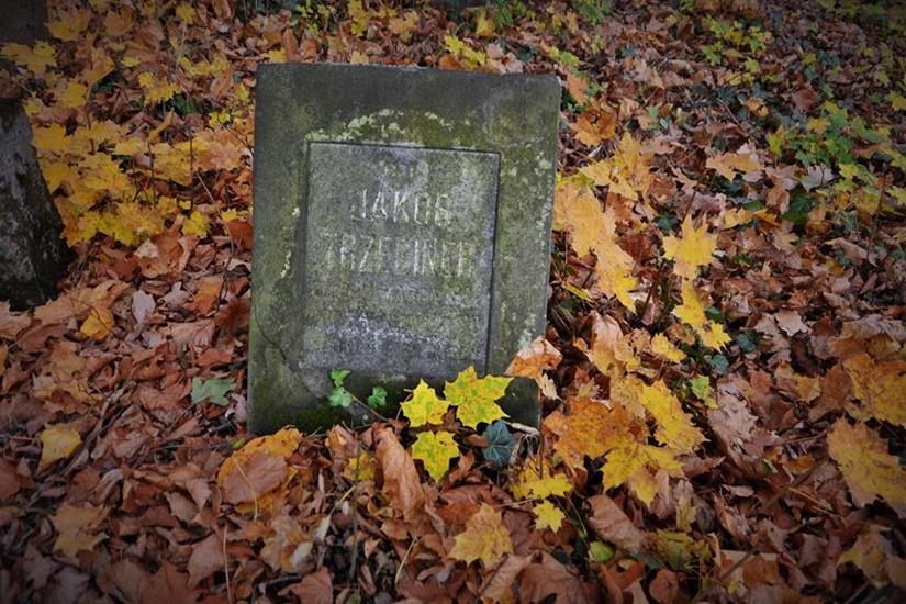 Cmentarz żydowski w Zawierciu (36).JPG