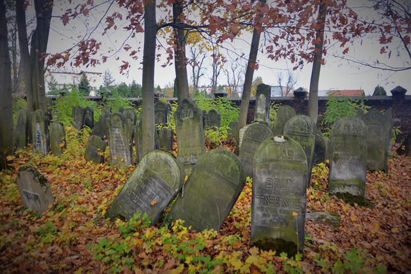 Cmentarz żydowski w Zawierciu (37).JPG