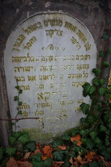 Cmentarz żydowski w Zawierciu (43).JPG
