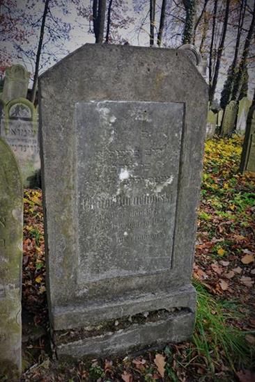 Cmentarz żydowski w Zawierciu (53).JPG