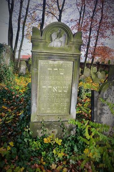 Cmentarz żydowski w Zawierciu (54).JPG