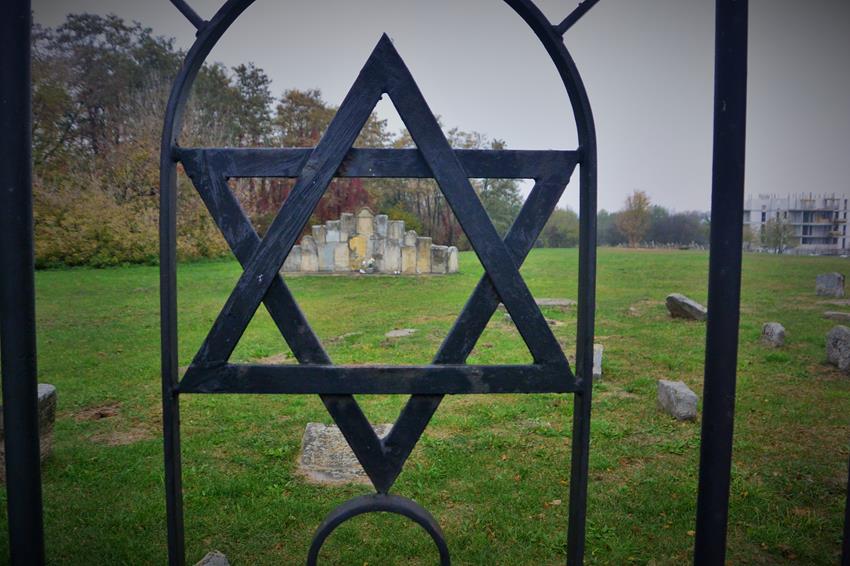 Cmentarz żydowski w Dębicy (2).JPG