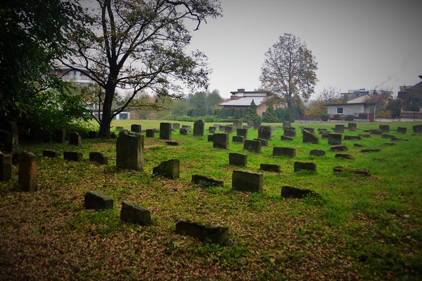 Cmentarz żydowski w Dębicy (8).JPG