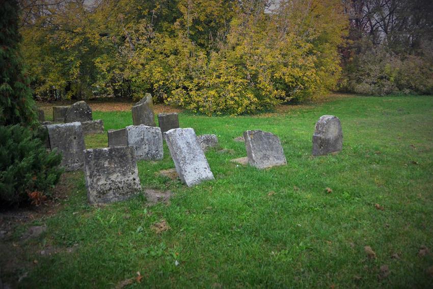 Cmentarz żydowski w Dębicy (3).JPG