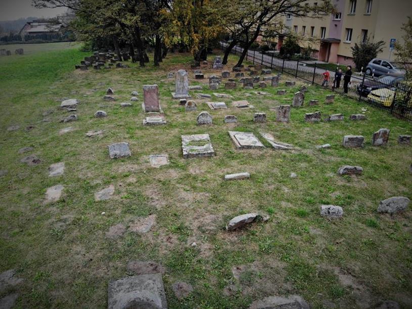 Cmentarz żydowski w Dębicy (17).JPG