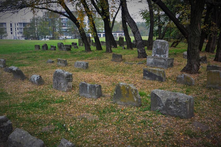Cmentarz żydowski w Dębicy (22).JPG