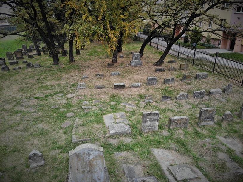 Cmentarz żydowski w Dębicy (18).JPG