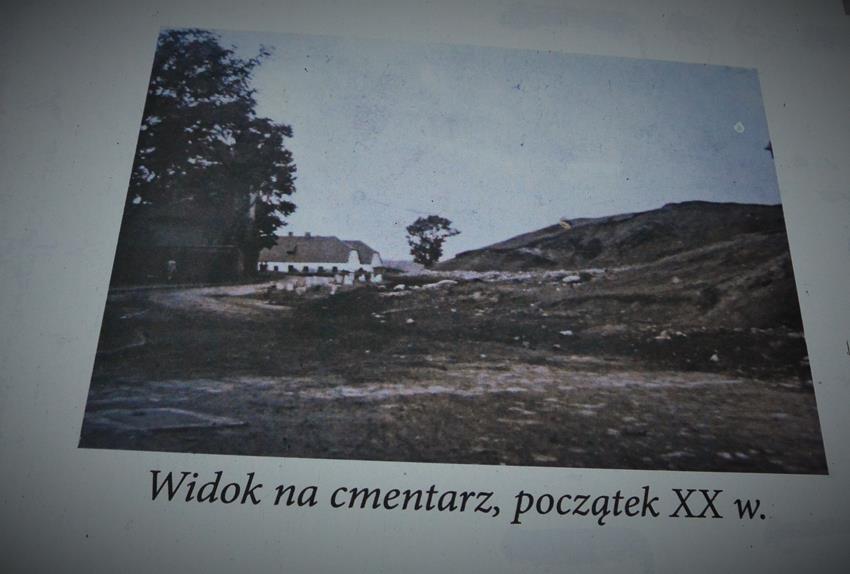 Wystawa plenerowa (10).JPG