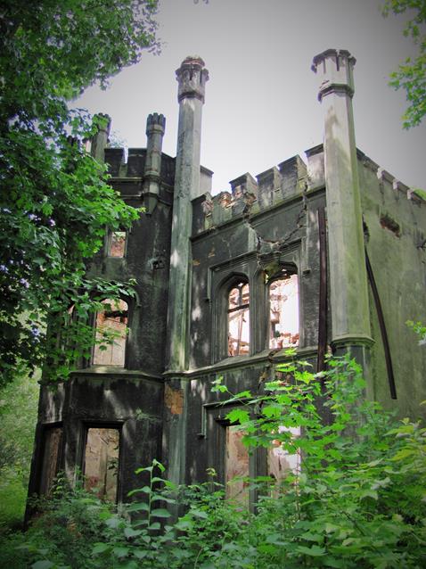 Ruiny oficyny (5).JPG