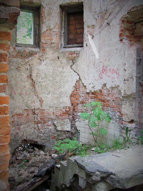 Ruiny oficyny (13).JPG