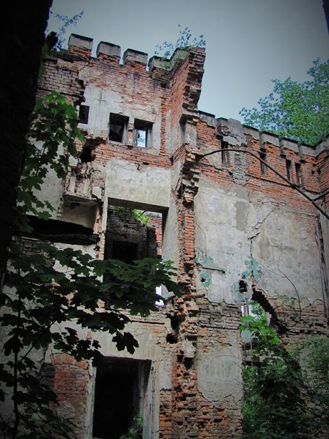 Ruiny oficyny (47).JPG