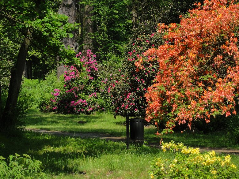 Moszna - park zamkowy (18).JPG