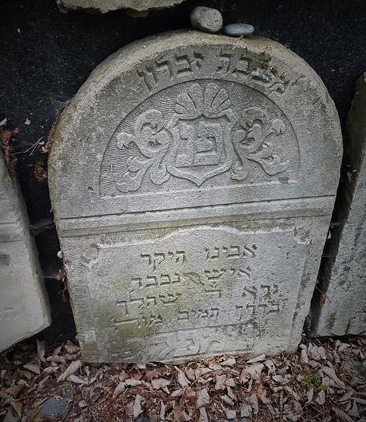 Cmentarz żydowski w Serocku (13).jpg