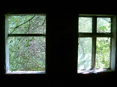 Dwa okna.jpg