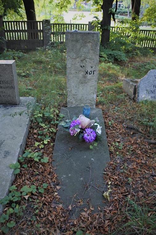 Cmentarz żydowski w Świdnicy (9).JPG