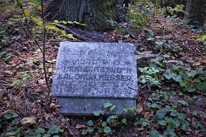 Cmentarz żydowski w Świdnicy (16).JPG
