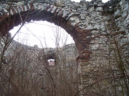 Zarzecze - ruiny koscioła (7).jpg