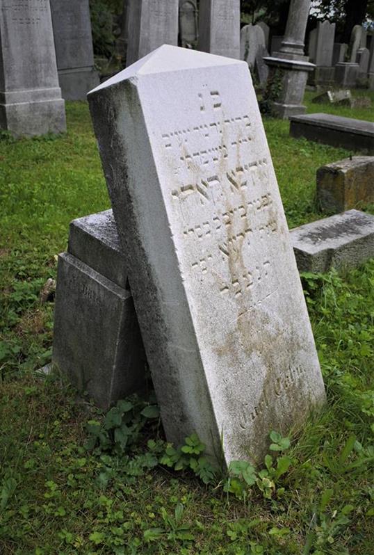 Cmentarz żydowski (37).JPG