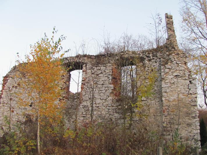 Zarzecze - ruiny kościoła (3).jpg