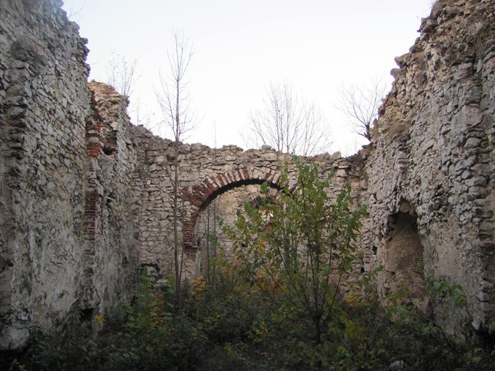 Zarzecze - ruiny kościoła (4).jpg
