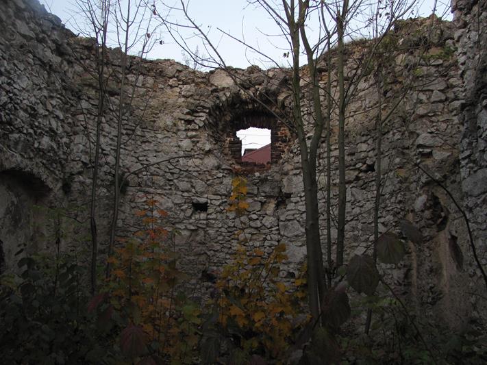 Zarzecze - ruiny kościoła (8).jpg