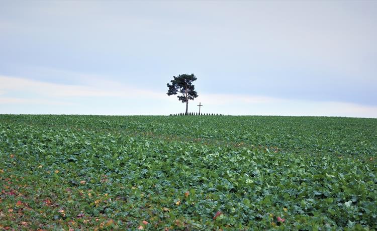 Więckowice - cmentarz choleryczny (12).JPG