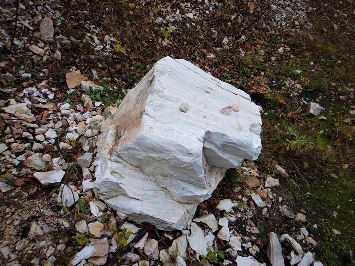 Nieczynny kamieniołom (3).JPG